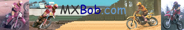 MXBob Graphic